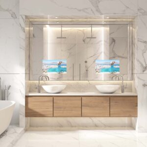 In-Wall Flush Mirror TV Options