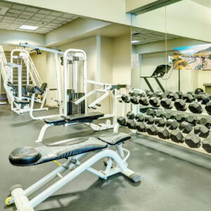 Bespoke Gymnasium Mirror TV Options