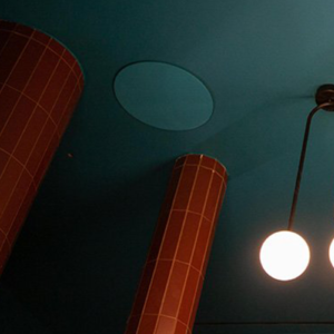 In-Ceiling and In-Wall