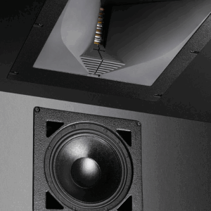 Director Pro-Active Ext Flush